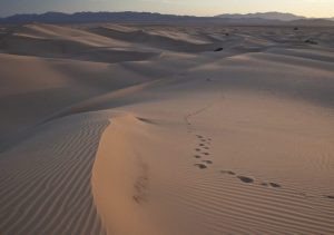 How To Create a Stealthy PBN