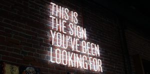Announcing domain expiration monitor!